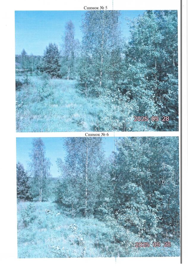 Лот 4020678